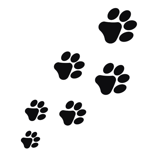 Zampette testo homepage