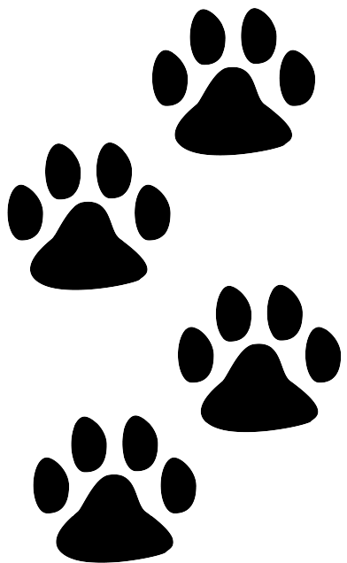 Zampette cane