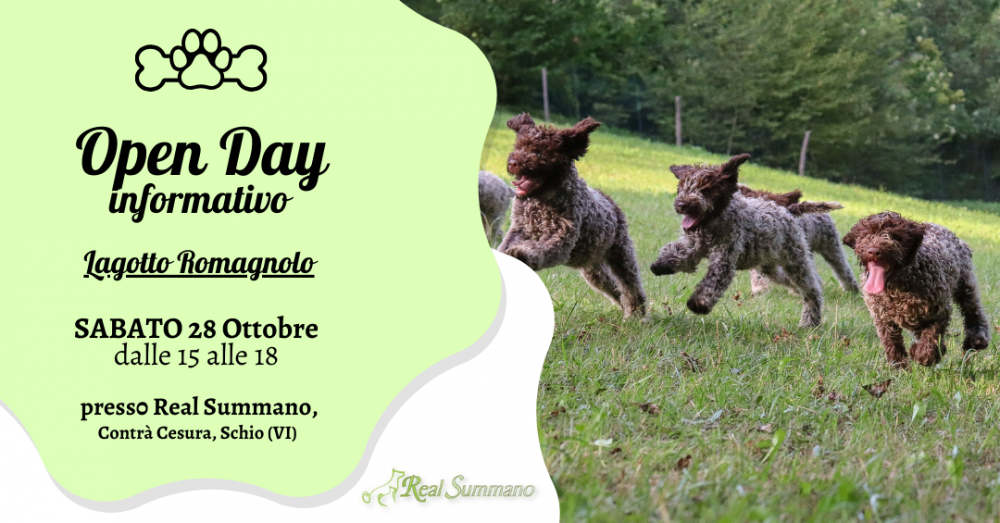 28 Ottobre - Nuovo Open Day informativo lagotto romagnolo